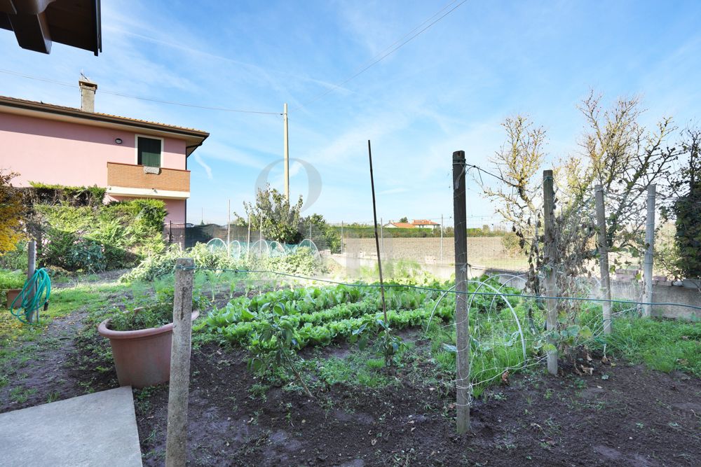 Bifamiliare con taverna