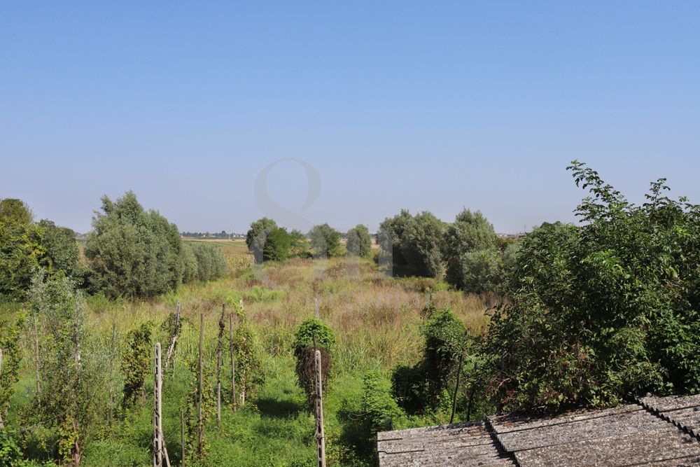 Pontelongo - Casa singola con terreno