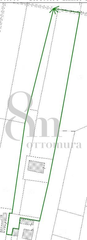 Pontelongo - Casa singola con terreno