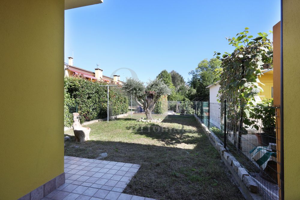 Schiera centrale